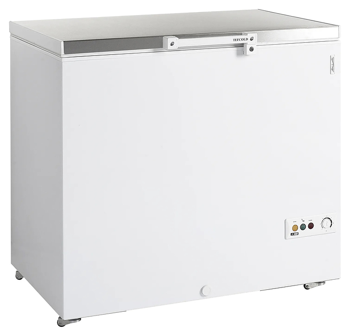 Ларь морозильный TEFCOLD FR305S SL