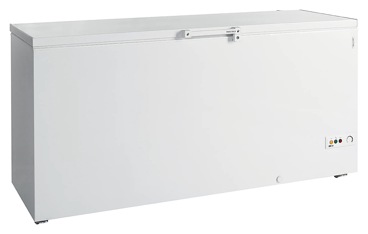 Ларь морозильный TEFCOLD FR605 SL