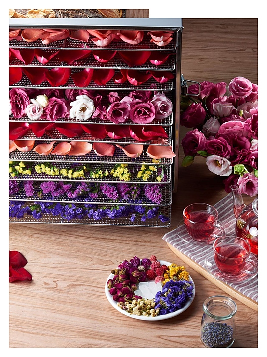 Сушилка для овощей и фруктов Kocateq DH FD 16 NW DIGITAL