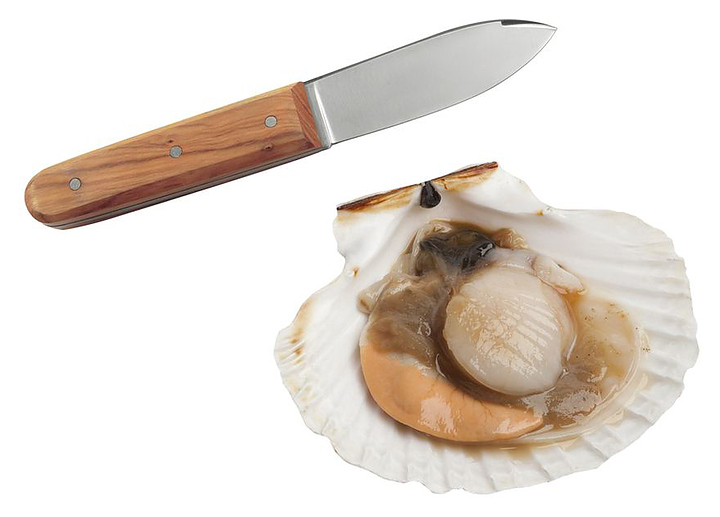 Нож для устриц Tellier N4170