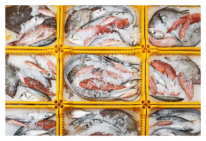 Льдогенератор Brema Muster 350A